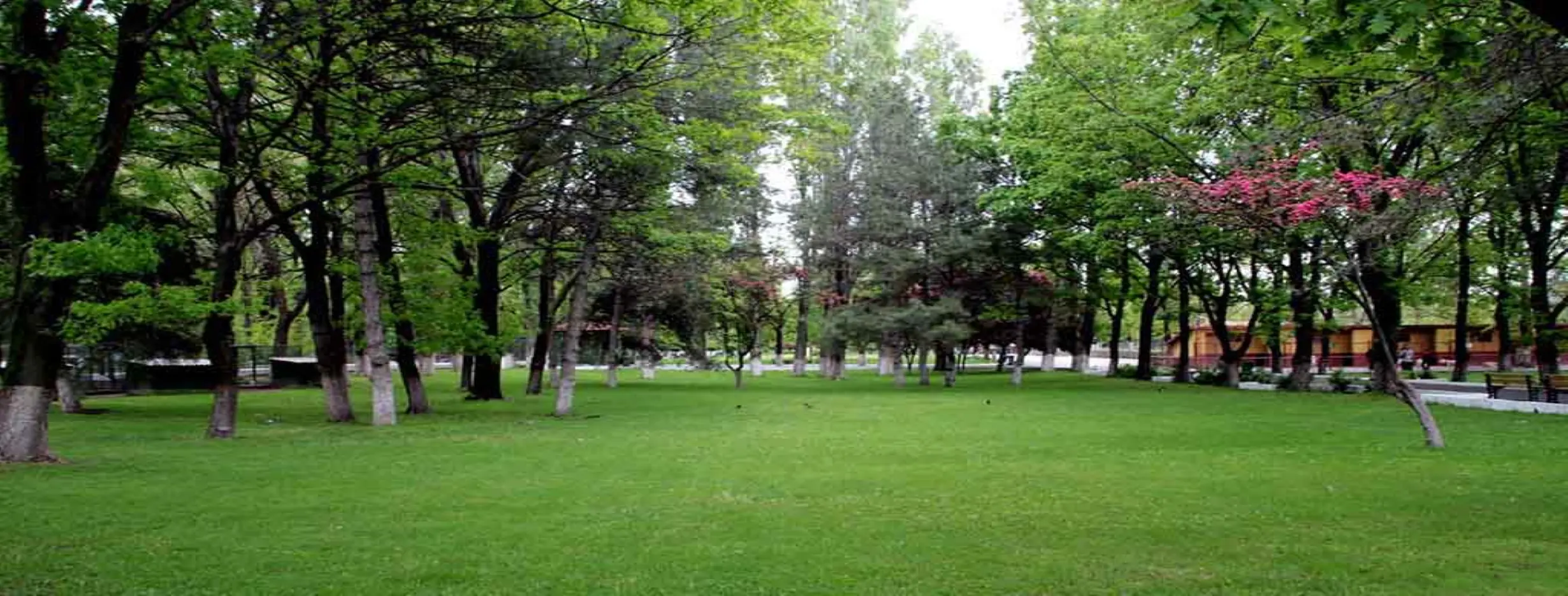 Image for Ataturk Forest Farm